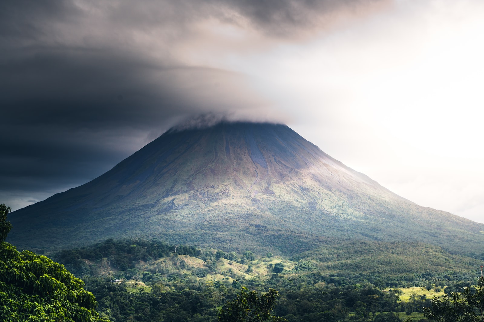 Quels sont les animaux dangereux au Costa Rica ?