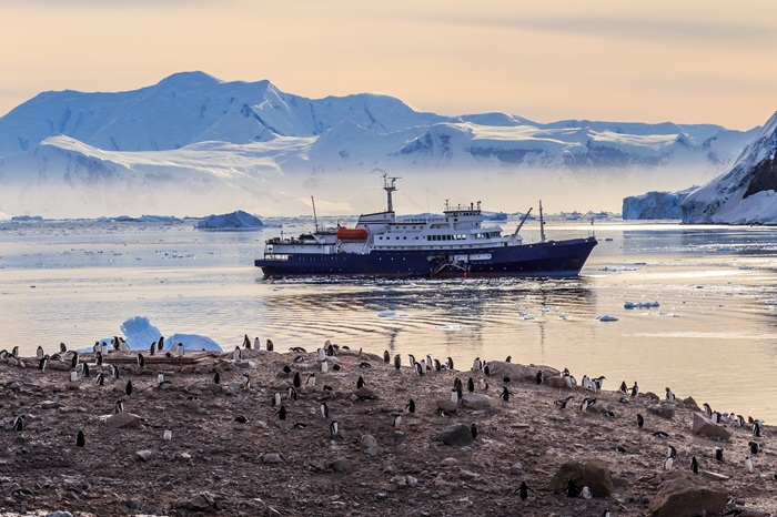 Comment bien organiser une croisière en Antarctique ?